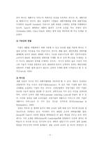 [마케팅] 프리미엄브랜드를 통한 차별화전략에 대한 연구-9
