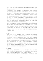 [마케팅] 프리미엄브랜드를 통한 차별화전략에 대한 연구-10