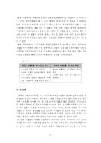 [마케팅] 프리미엄브랜드를 통한 차별화전략에 대한 연구-15