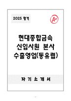 A+ 2025 현대종합금속 신입사원 본사 수출영업(동유럽) 자소서-1