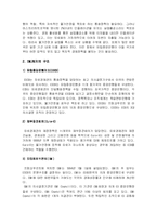 [국제경영] 유럽통화동맹(EMU)의 출범과 파급효과 및 대응전략-2