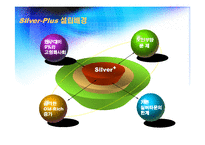 [마케팅] Silver-Plus 사업계획서 -(노인들을 위한 종합관리서비스)-4