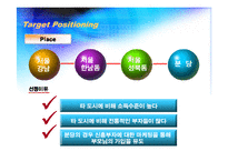 [마케팅] Silver-Plus 사업계획서 -(노인들을 위한 종합관리서비스)-20