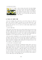 [관광] 한국 음식의 세계화 전략 방안-10