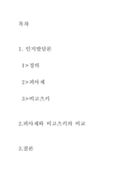 [교육심리] 피아제와 비고츠키의 인지발달이론의 비교-2