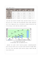[국제경영] 넥슨의 성공, 실패사례-12