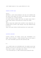 [pr론] 이종격투기의 마케팅전략과 시사점-5