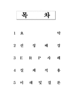 [정보시스템] ERP시스템에 대해서-2