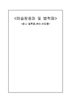 [아랍문화사] 이슬람종파 및 법학파 -순니 법학파,쉬아,수피즘-1