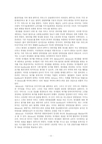싸이버스페이스의 혁신상품으로서의 Afreeca 분석-10