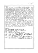 [사진예술] 1950년대 신 영상주의출현 -로버트 프랭크와 윌리엄 클라인을 중심으로-14
