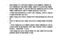 [독일,축제,독일사회] 독일의 문화생활과 축제-3