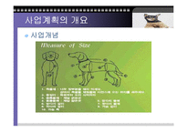 애견의복 사업계획서-7