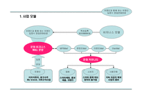 스타(유명연예인)마케팅을 통한 사업계획서-7