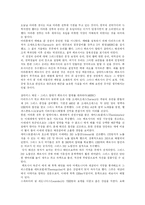 [그리스] 그리스의 정치, 경제와 철학 및 전쟁 분석-18