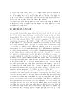 [행정개혁] 김대중 정부 행정개혁 평가 분석-4