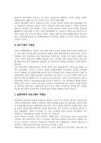 [행정개혁] 김대중 정부 행정개혁 평가 분석-10