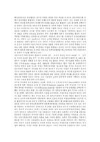 [행정개혁] 김대중 정부 행정개혁 평가 분석-13