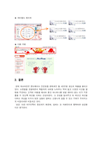 [인터넷창업] 인터넷창업성공사례-4