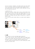 [인터넷창업] 인터넷창업성공사례-7