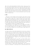 [사회복지] 외국 사회복지 개혁 사례를 통해 본 우리나라 사회복지서비스 프로그램과 향후 과제 분석-18