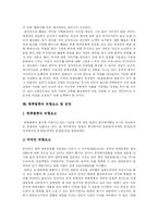 [한류열풍] 한류와 한류열풍의 위험요소, 전망과 시사점 및 의의 분석-13