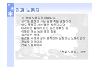 [노동문학] 노동문학(박노해)발표자료-20