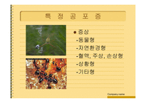 [심리학] 심리장애,적응실패에따른문제점(심리학)-14