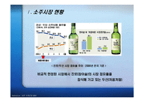 [마케팅조사,마케팅관리,마케팅전략] 처음처럼(소주)의 마케팅 전략과 1위시장 전략-4