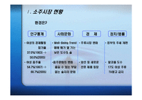 [마케팅조사,마케팅관리,마케팅전략] 처음처럼(소주)의 마케팅 전략과 1위시장 전략-6