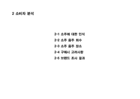 OOO 소주 - 성공적인 MARKET SHARE 확대를 위한 COMMUNICATION 기획서-10