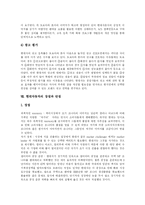 [현대자동차] 현대자동차의 유통전략과 마케팅전략 및 장점과 단점 심층 분석-11