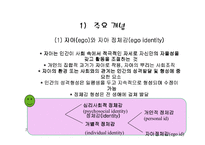 [사회복지] [사회복지] 인간과 사회이해 - 정신분석이론-13