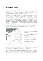 [근현대사] 독도 조사-5