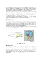 [미생물학, 자연과학,] 미생물의구조와 기능-3