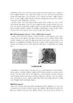 [미생물학, 자연과학,] 미생물의구조와 기능-7