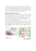 [미생물학, 자연과학,] 미생물의구조와 기능-8