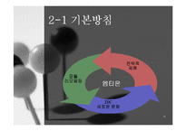 [창업론] [창업론]모텔 사업계획서(A+리포트)-11