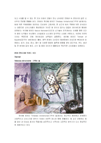 [시각디자인] [시각디자인]2006년 인테리어 디자인 트렌드 경향 분석(A+리포트)-2