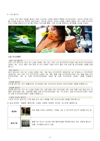 [마케팅원론,리조트운영론,] 리조트 사업계획서-8