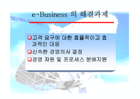 [e비즈니스] [e비즈니스]오프라인 기업의 e-Business 추진전략과 과제(A+리포트)-15