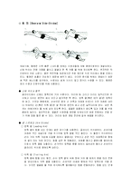 [체육] 인명구조영법-1