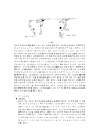 [체육] 인명구조영법-9
