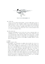 [체육] 인명구조영법-10