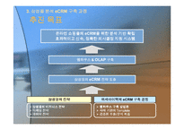 [e비즈니스] [마케팅]사례조사_삼성몰 eCRM 구축전략 분석(A+리포트)-11