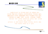 [해외투자] 필리핀 - 해외투자-13