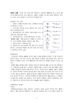 [체육, 교양, 수영, 스포츠,] 수영-7