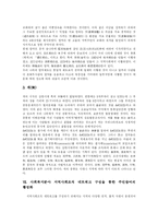 [사회복지] 사회복지의 이론과 현황 및 발전 방안 분석-13
