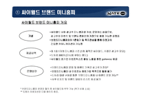 [마케팅] [마케팅]싸이월드 미니홈피 광고제안(A+리포트)-11