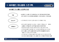 [마케팅] [마케팅]싸이월드 미니홈피 광고제안(A+리포트)-16
